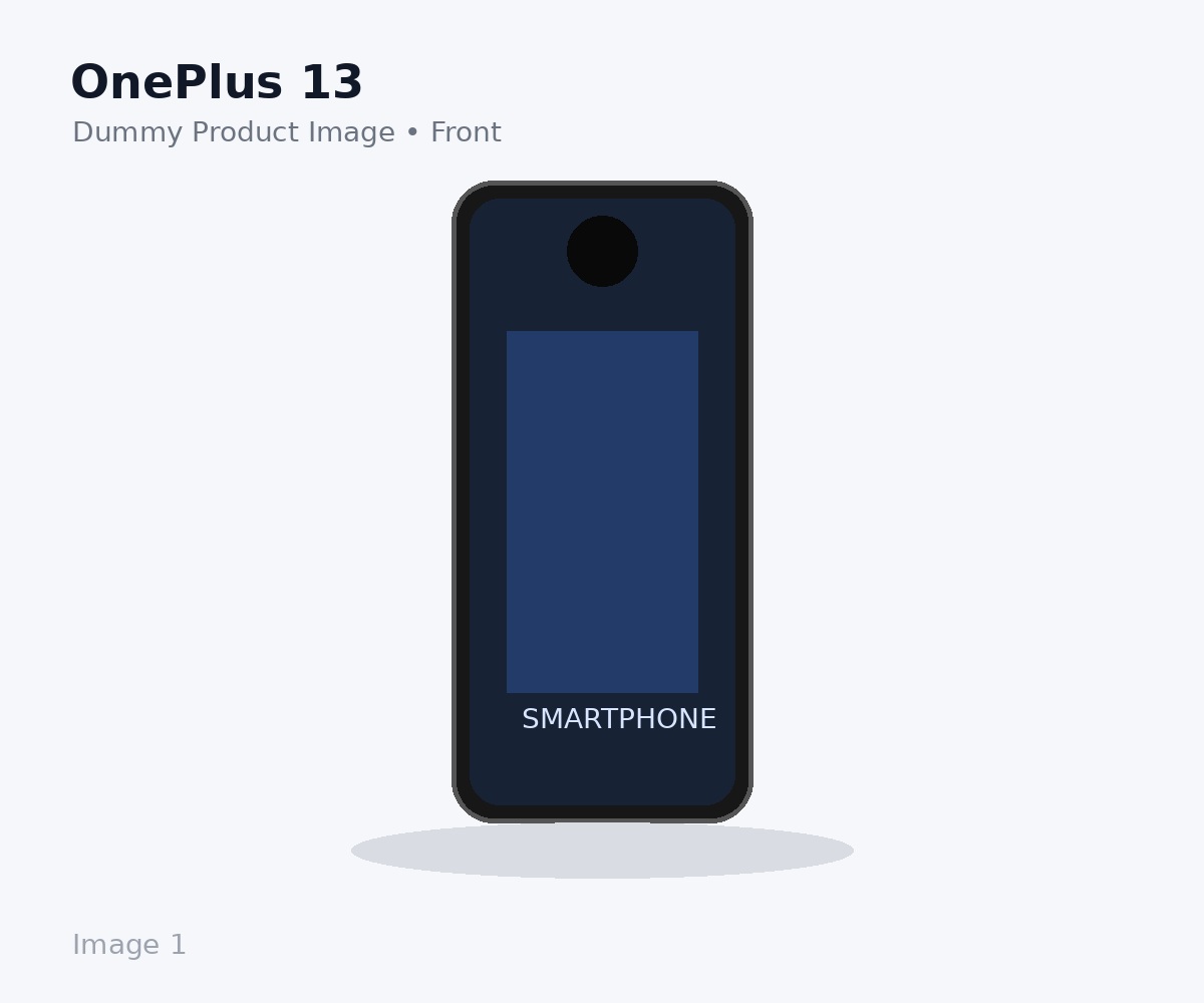 OnePlus 13